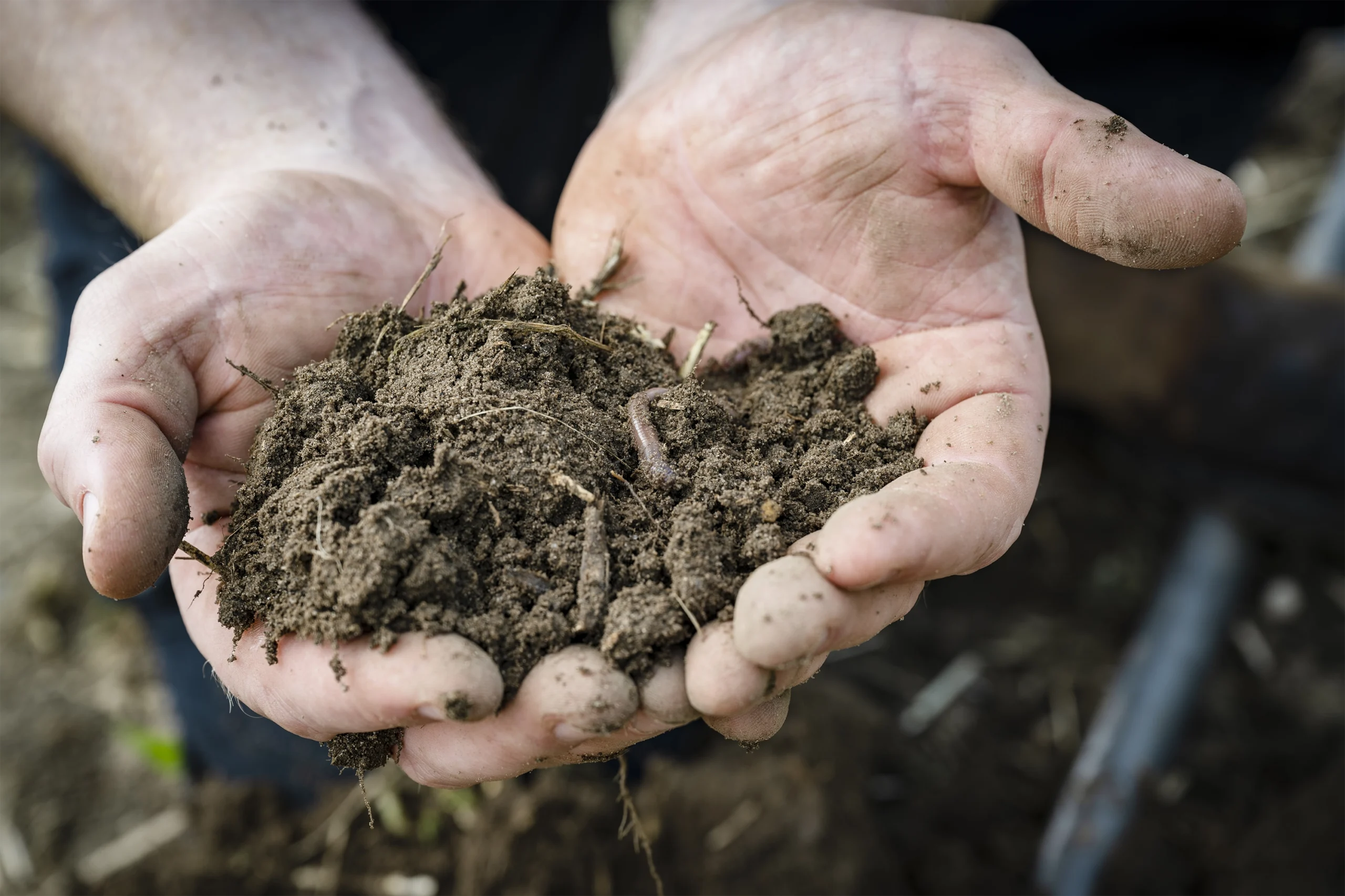 m&p: public relations