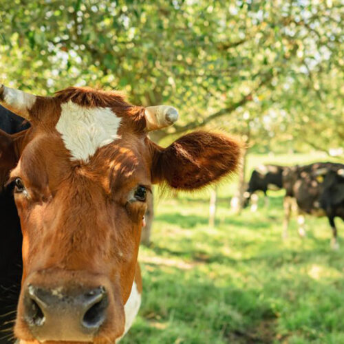 m&p: public relations