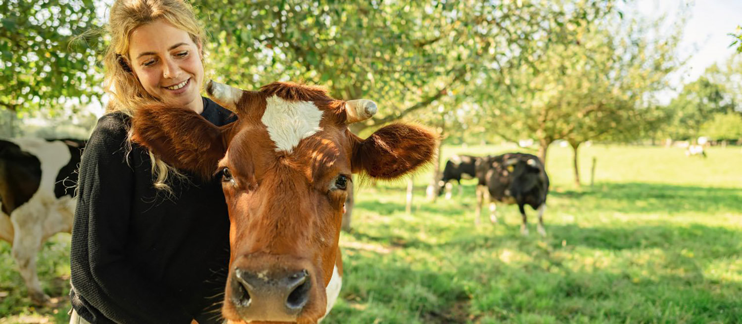 m&p: public relations