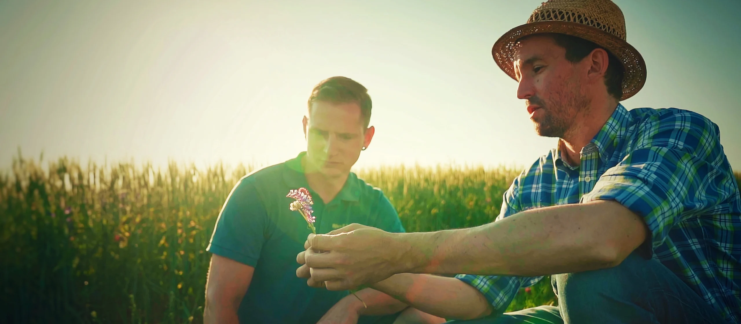 m&p: public relations