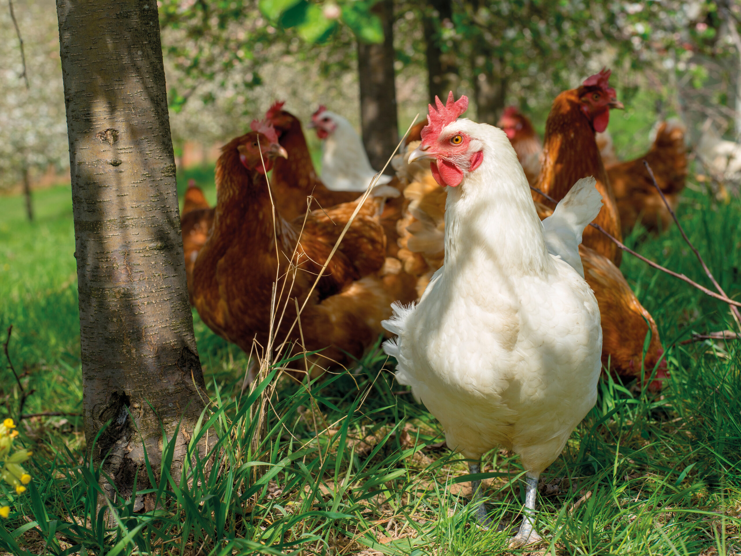 Projektbild_ Demo (7) _slider