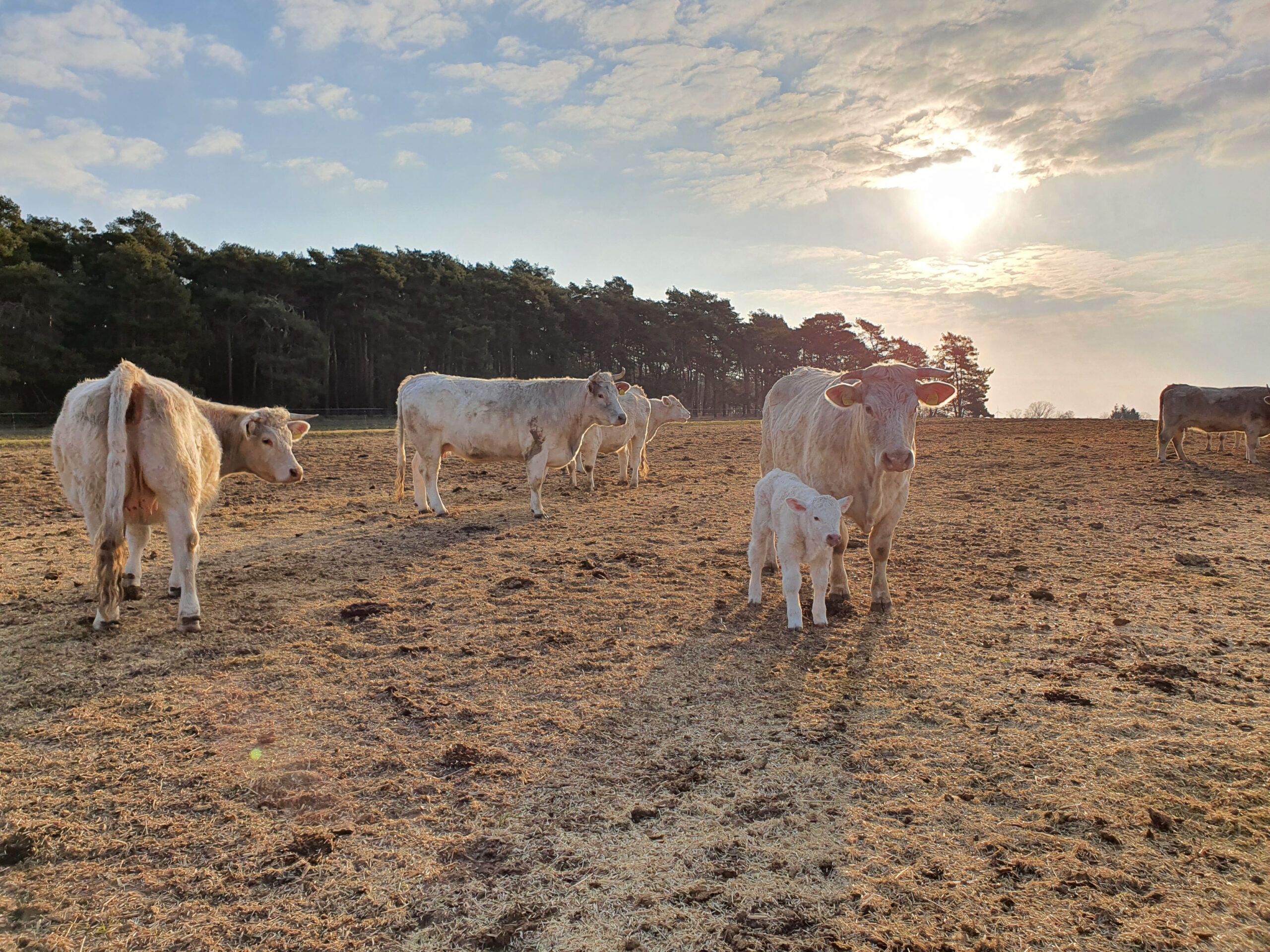 Projektbild_ Demo (8) _slider